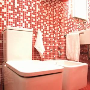 Azulejos mosaico de pared Degradado bicolor rojo
