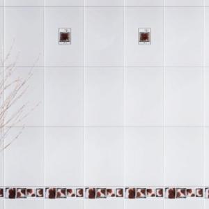 Azulejos 20x30 White Brilho