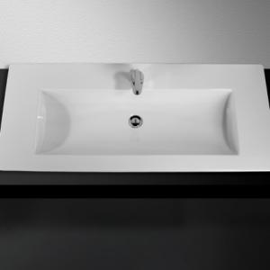 Wash Basin Palm